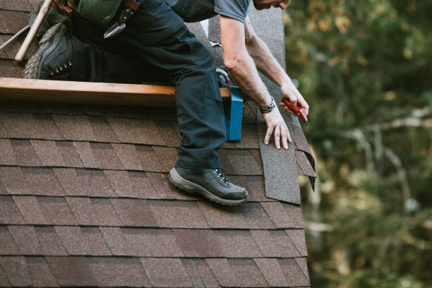 Best Roof Gutter Cleaning  in Spring Green, WI